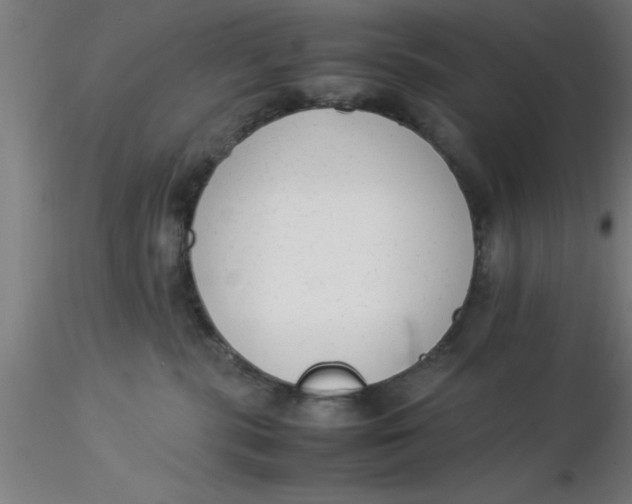 X0000116370283200912231322