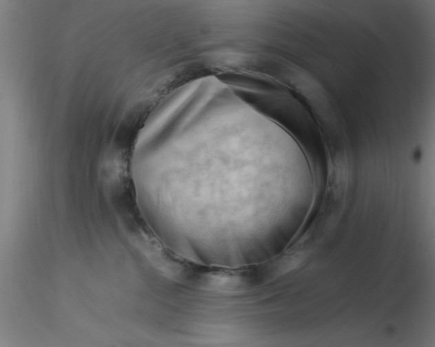 X0000116370284200912231322