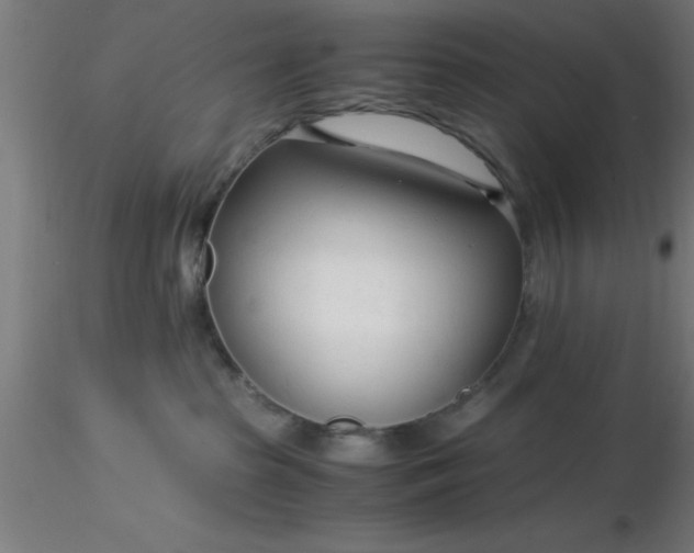 X0000116370285200912231322