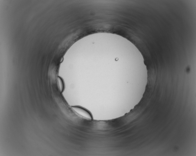 X0000116370287200912231322