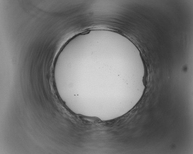 X0000116370289200912231321