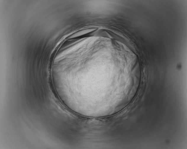 X0000116370290200912231321