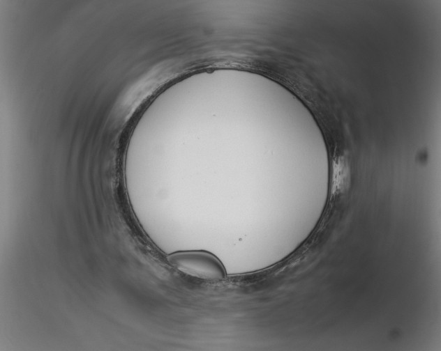 X0000116370291200912231321