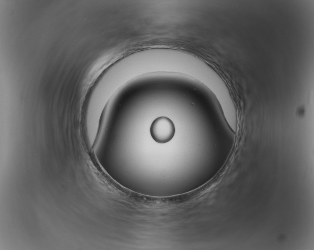 X0000116370293200912231321