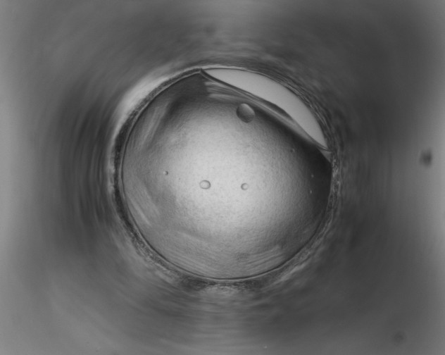 X0000116370294200912231321