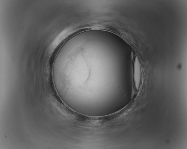 X0000116370295200912231321