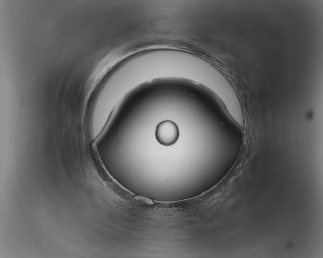 X0000116370296200912231321