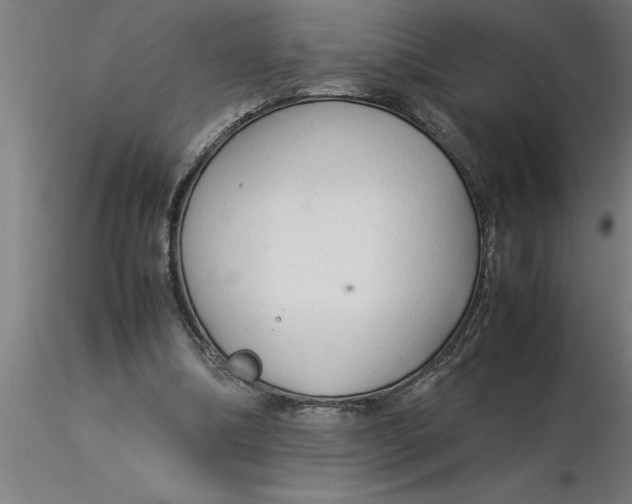 X0000116370298200912231321