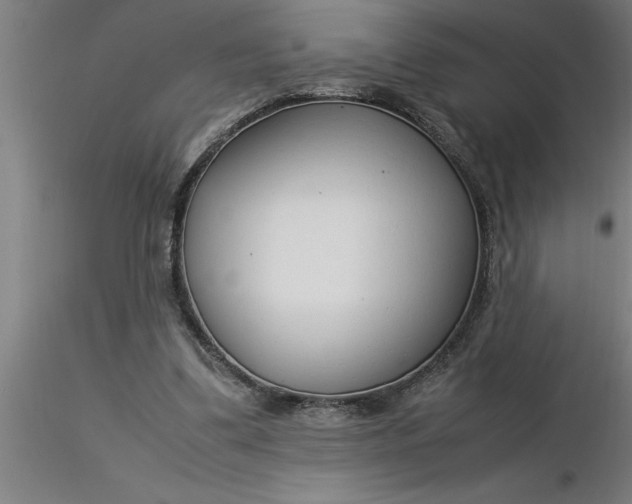 X0000116370299200912231321