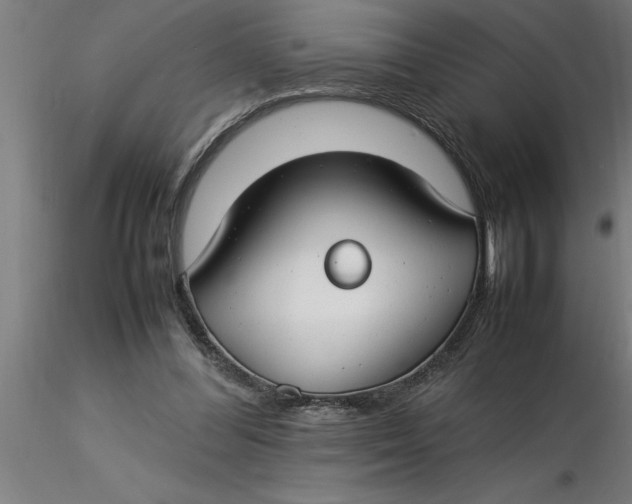 X0000116370300200912231321