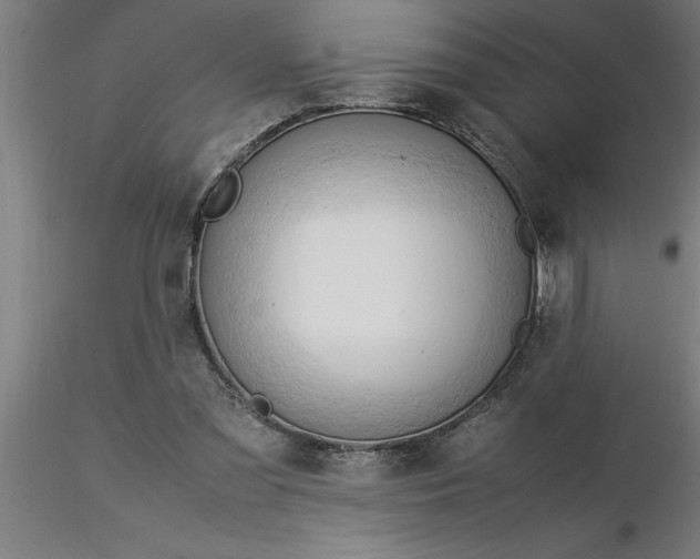 X0000116370301200912231321