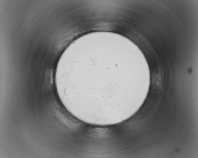 X0000116370302200912231321