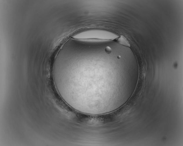 X0000116370303200912231321