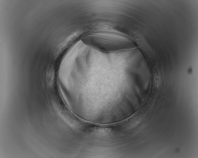 X0000116370304200912231321