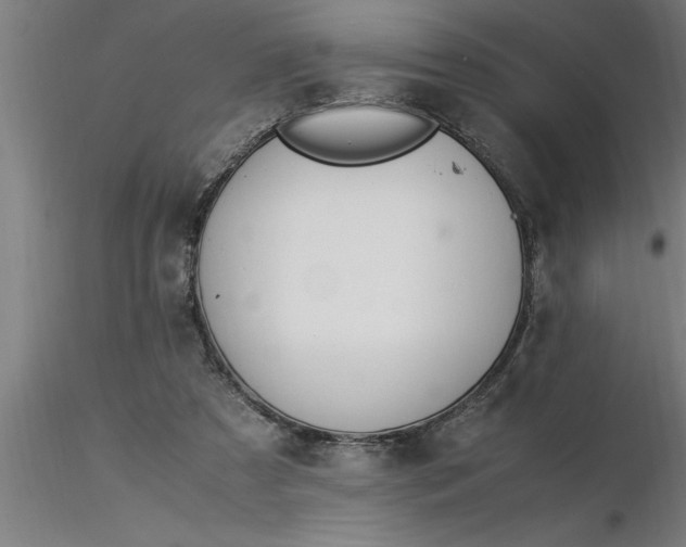 X0000116370305200912231321