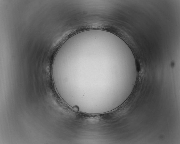 X0000116370306200912231321