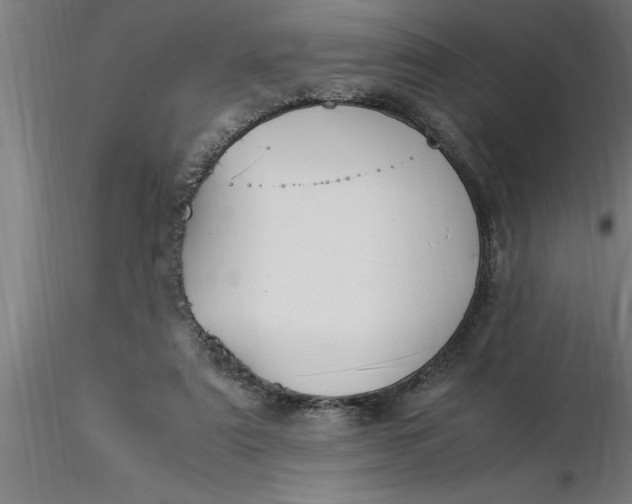 X0000116370307200912231321