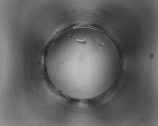 X0000116370308200912231321