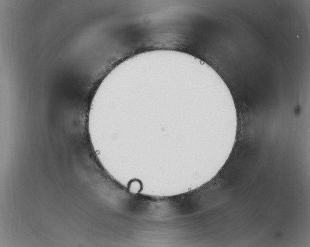 X0000116370309200912231321