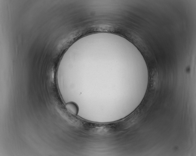 X0000116370310200912231321