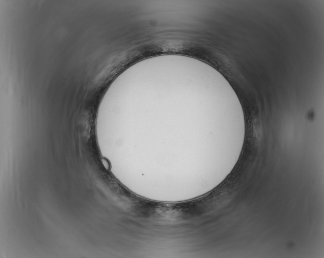 X0000116370311200912231321