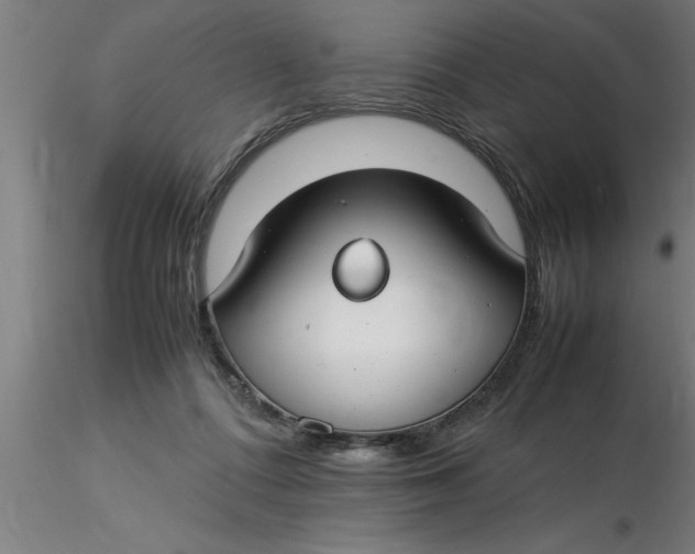 X0000116370312200912231321