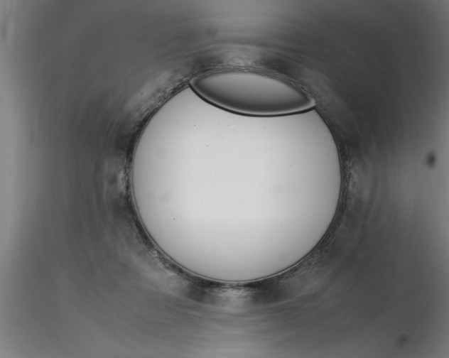 X0000116370313200912231321