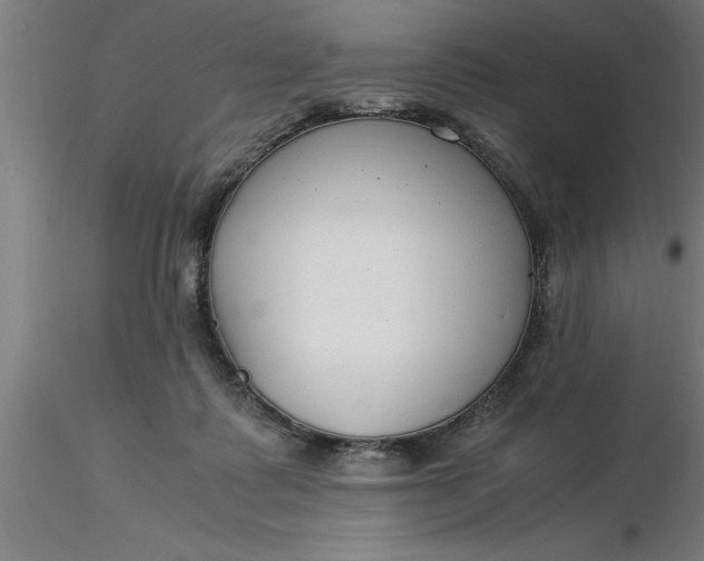 X0000116370315200912231321