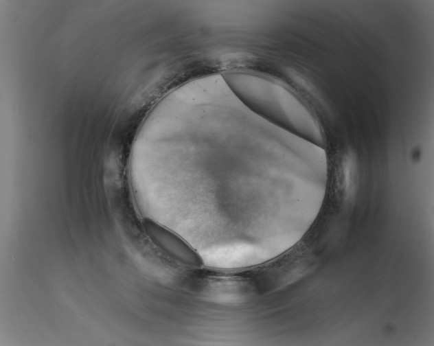 X0000116370316200912231321