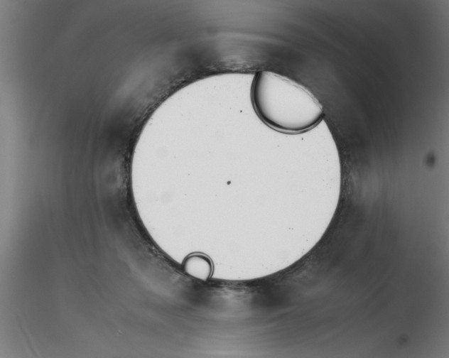 X0000116370317200912231321