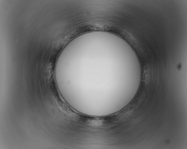 X0000116370318200912231321