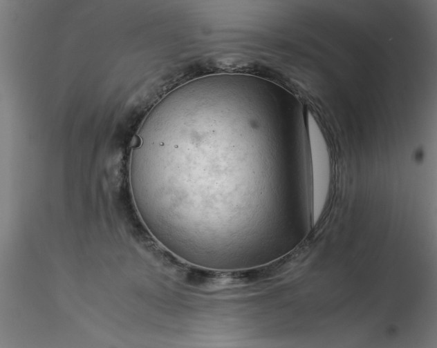 X0000116370319200912231321