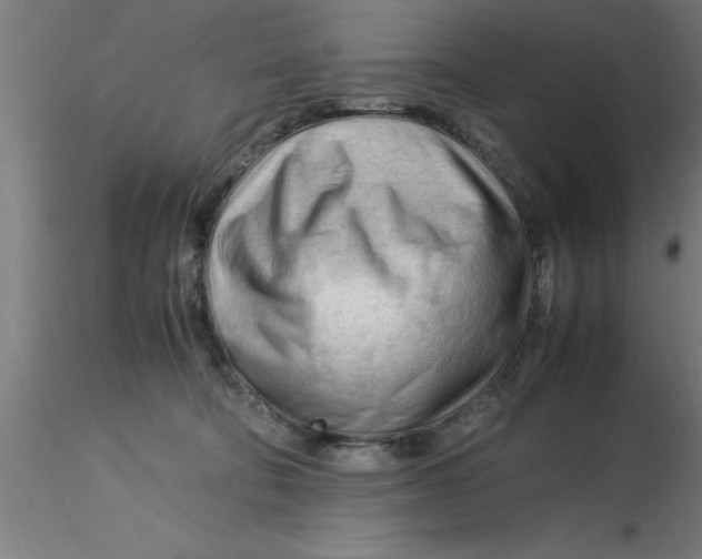 X0000116370322200912231321