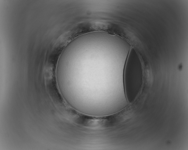 X0000116370323200912231321