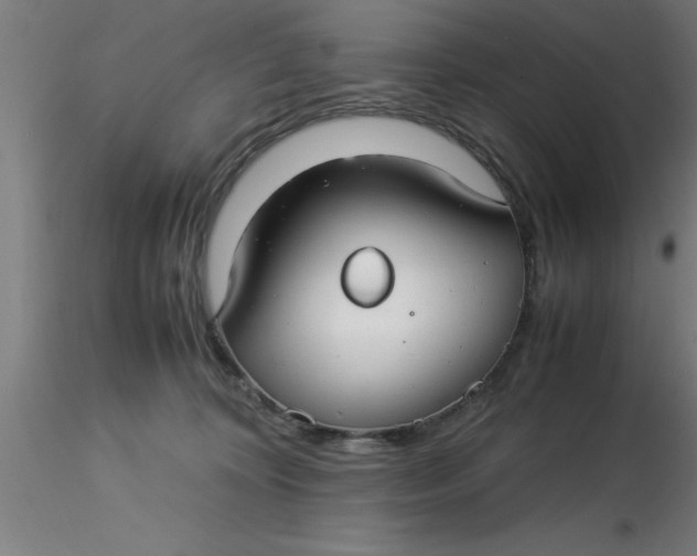 X0000116370324200912231321