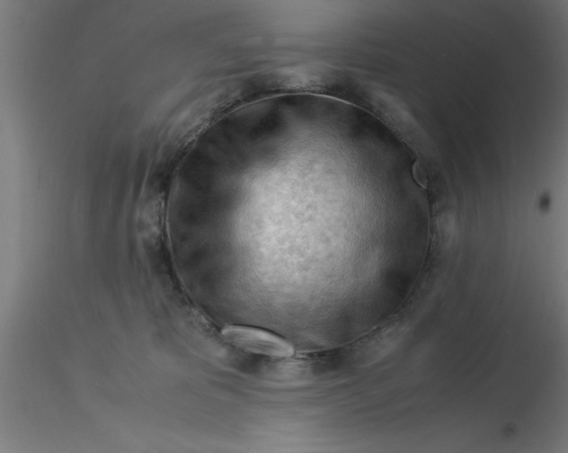 X0000116370325200912231321