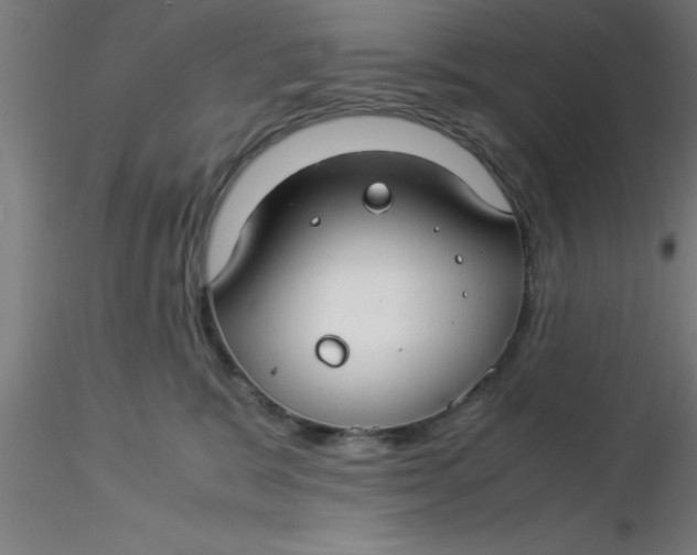 X0000116370327200912231321