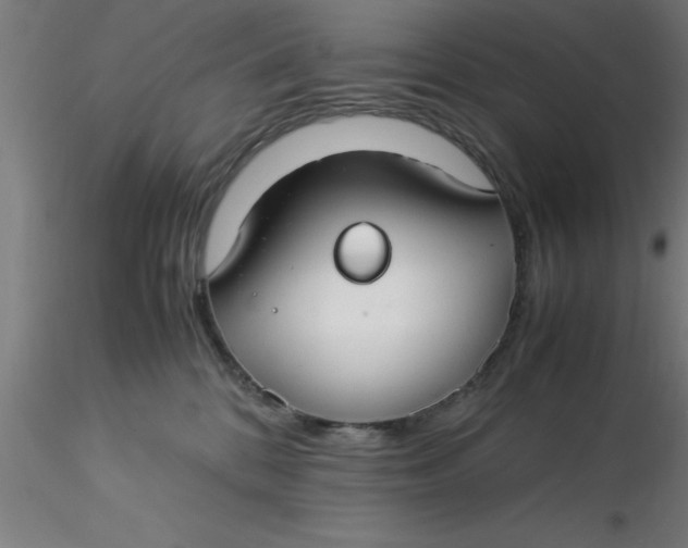 X0000116370328200912231321