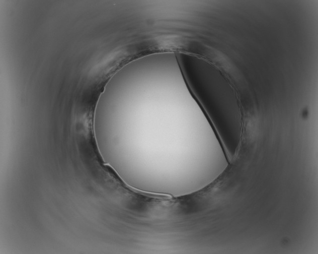 X0000116370329200912231321