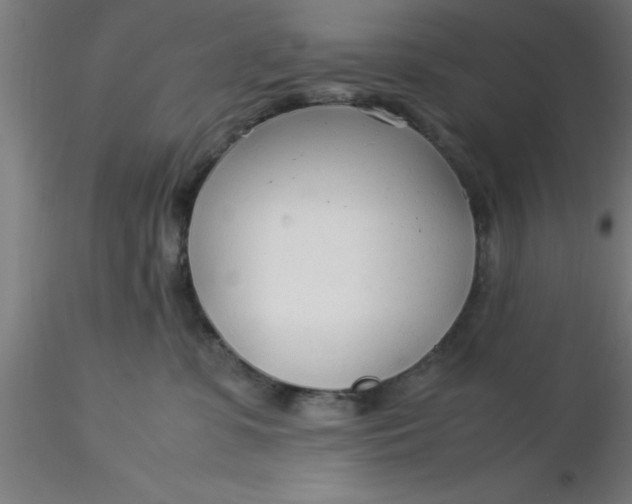 X0000116370331200912231321