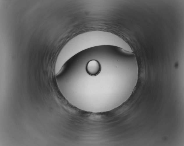 X0000116370332200912231321