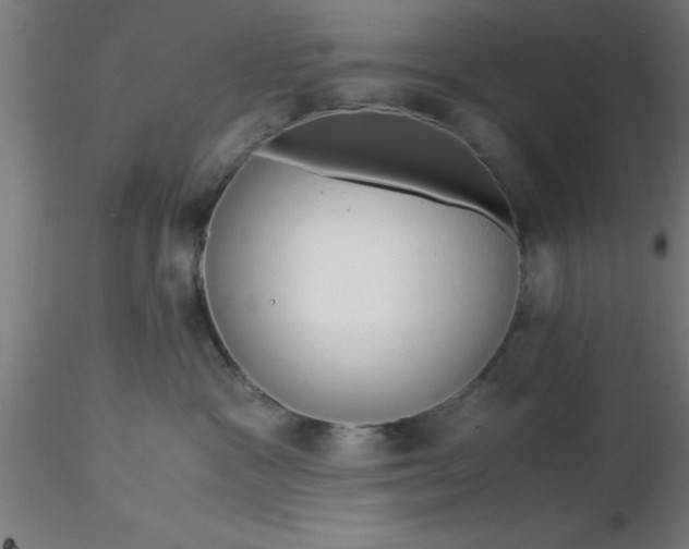 X0000116370333200912231321