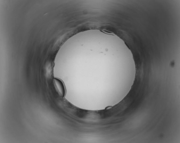 X0000116370335200912231321