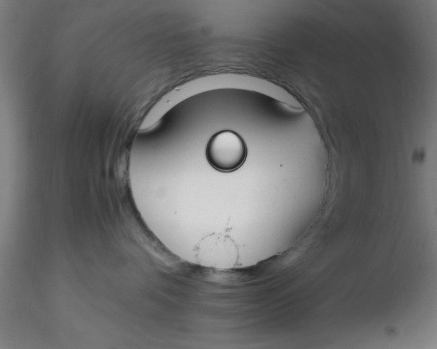 X0000116370336200912231321