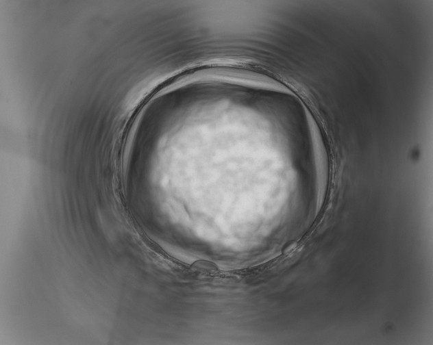 X0000116370337200912231320