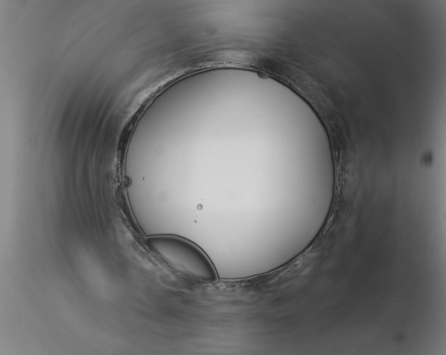 X0000116370338200912231320