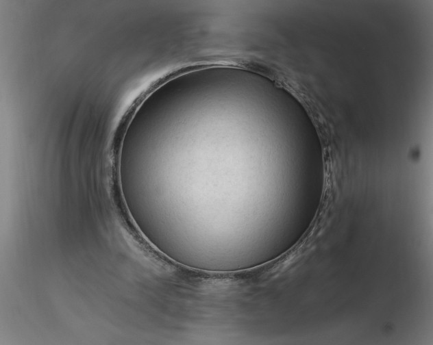 X0000116370342200912231320