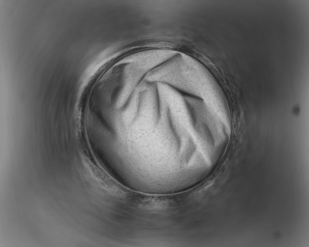 X0000116370343200912231320