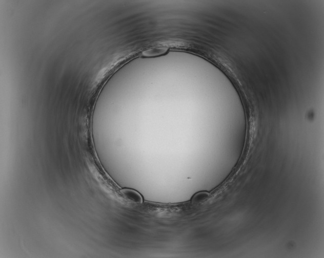 X0000116370345200912231320