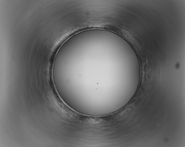 X0000116370346200912231320